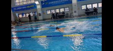 2023. 교육장배 초·중학생 수영꿈나무대회 개최 대표이미지